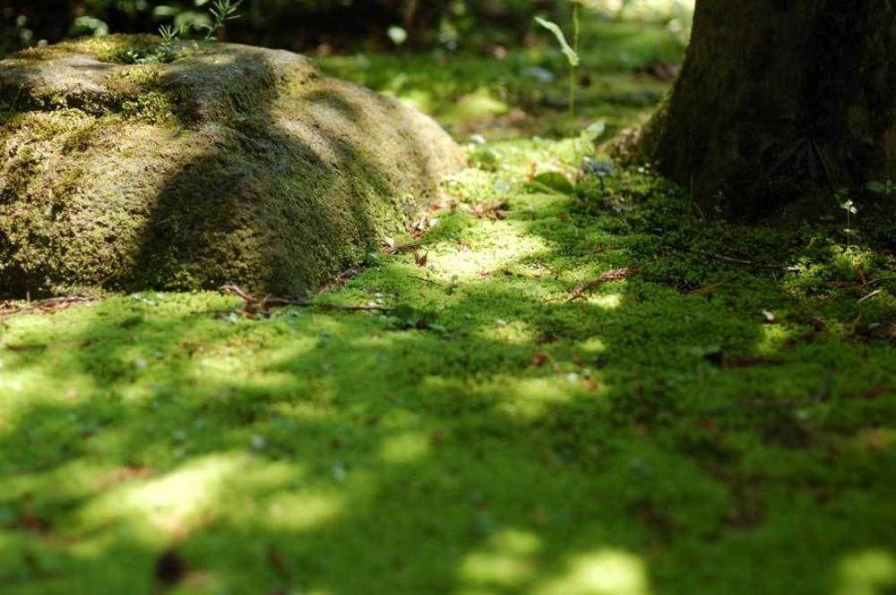 ホテル 胡蝶 加賀市 エクステリア 写真